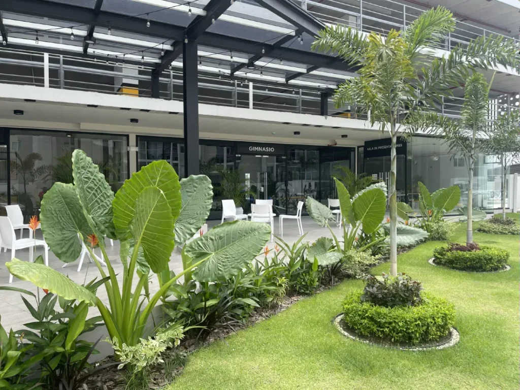 gimnasio-panama-viejo